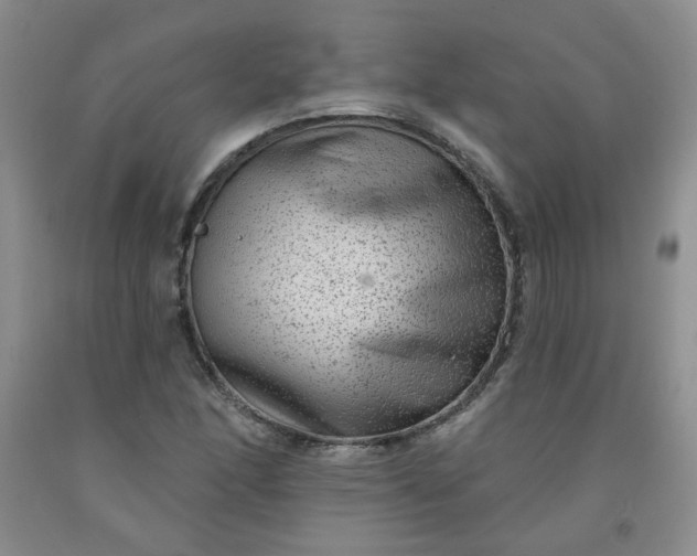 X0000091951166200709201317