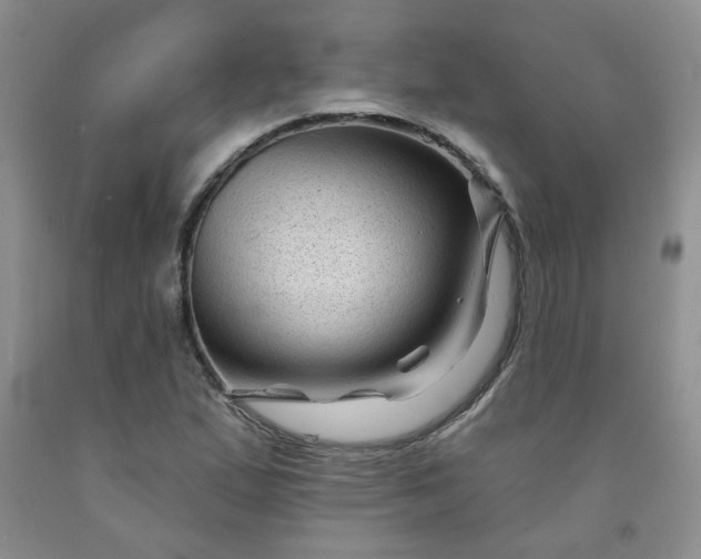 X0000091951167200709201317