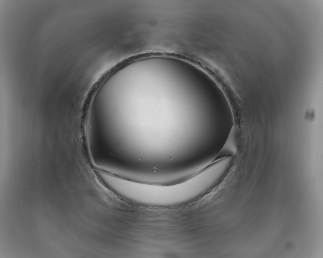 X0000091951168200709201317