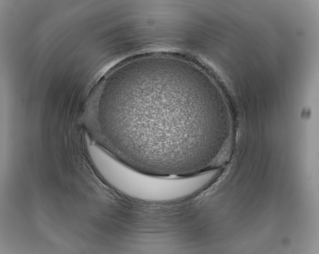 X0000091951169200709201317