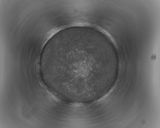 X0000091951170200709201317