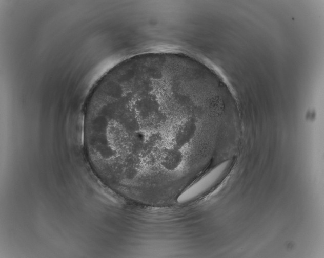 X0000091951171200709201317