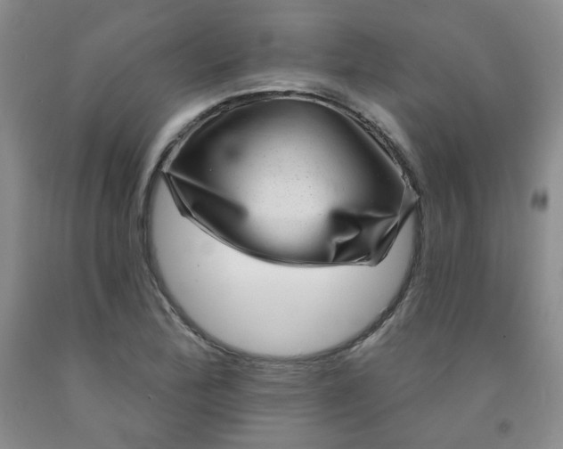 X0000091951172200709201316