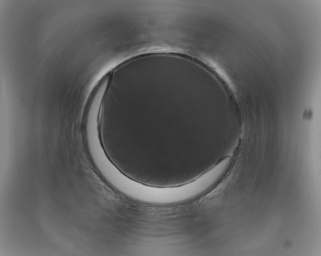 X0000091951173200709201316