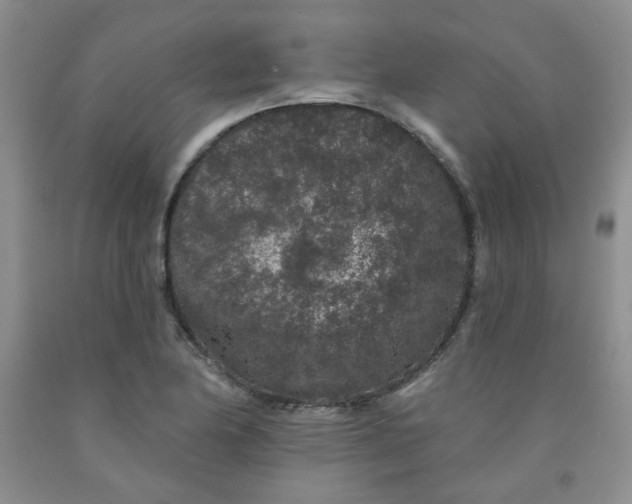 X0000091951174200709201316