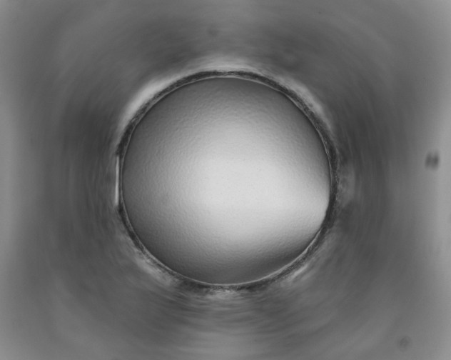 X0000091951175200709201316