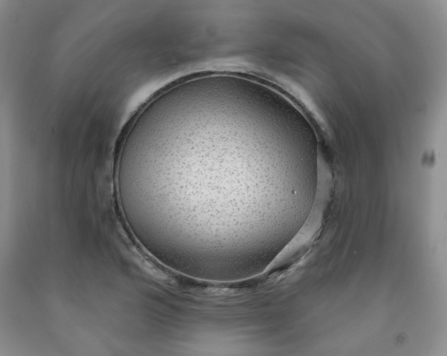 X0000091951176200709201316