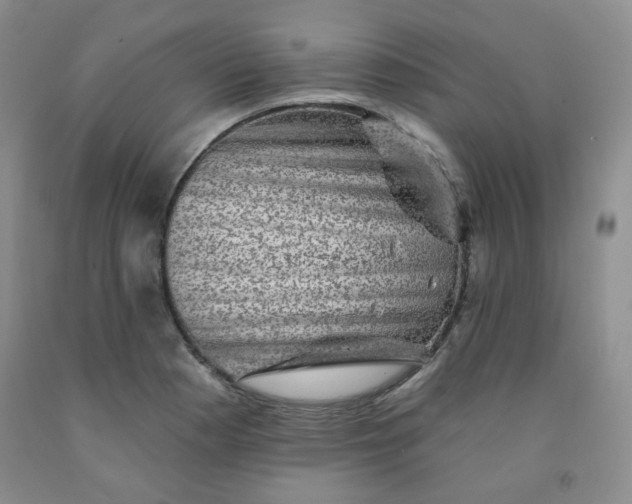 X0000091951177200709201316