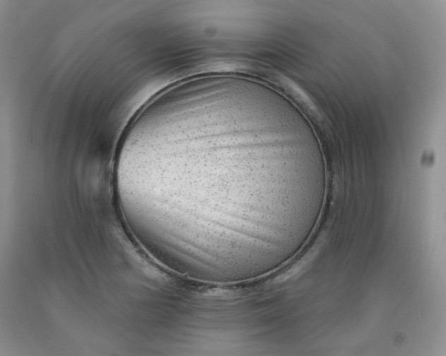 X0000091951178200709201316