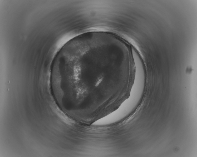 X0000091951179200709201316