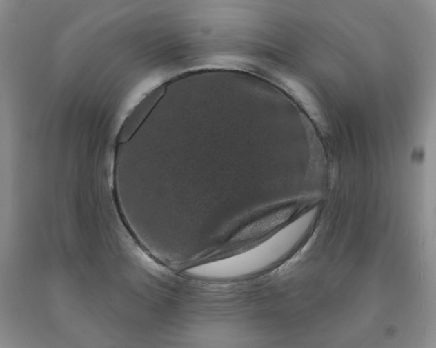 X0000091951180200709201316