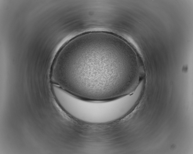 X0000091951181200709201316