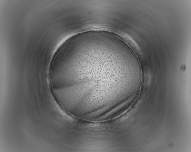 X0000091951182200709201316