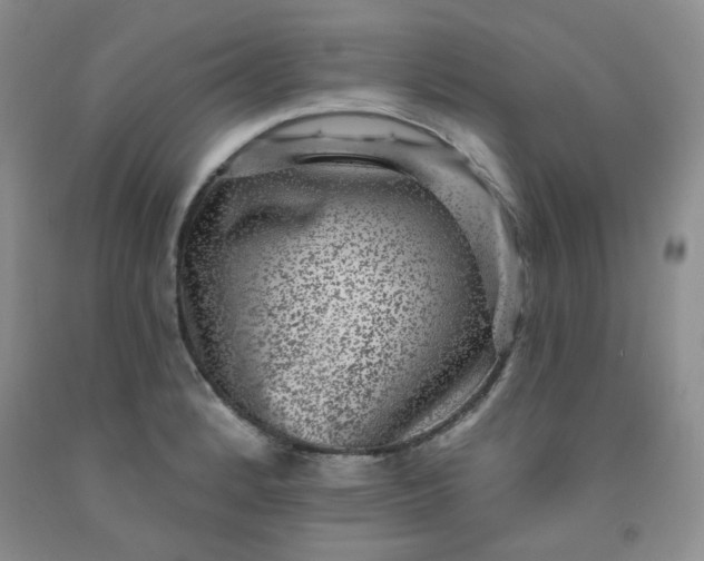 X0000091951184200709201316