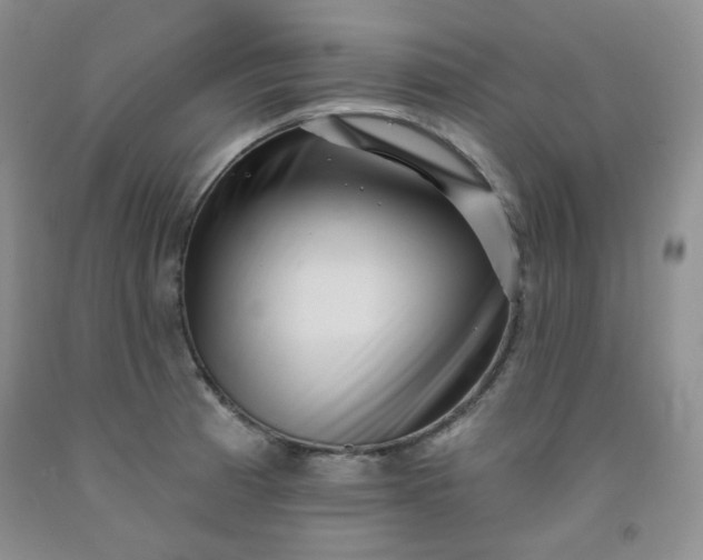 X0000091951185200709201316