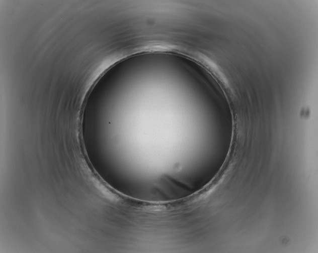 X0000091951186200709201316