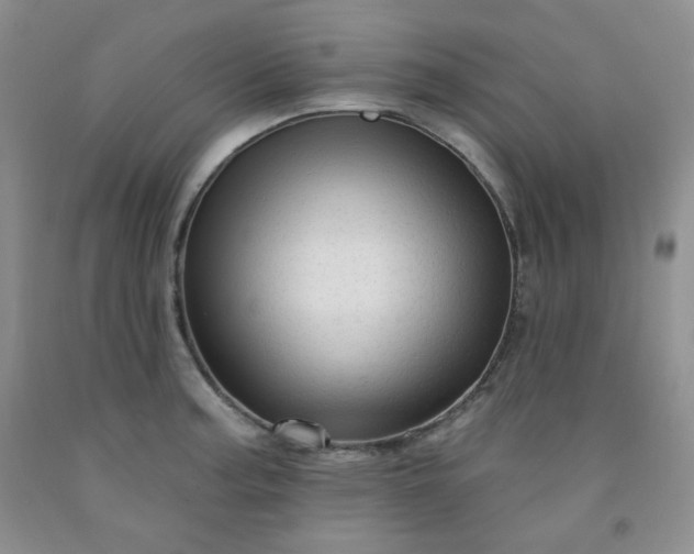 X0000091951187200709201316