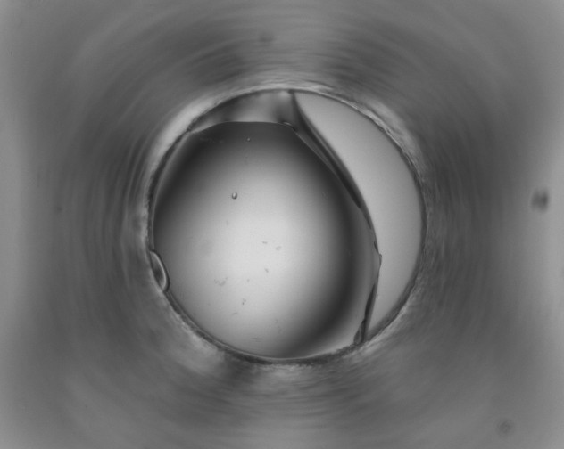 X0000091951188200709201316