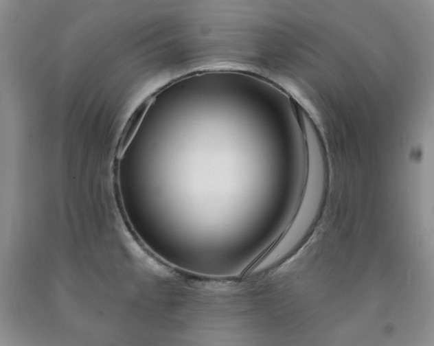 X0000091951189200709201316