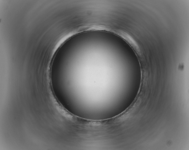 X0000091951190200709201316