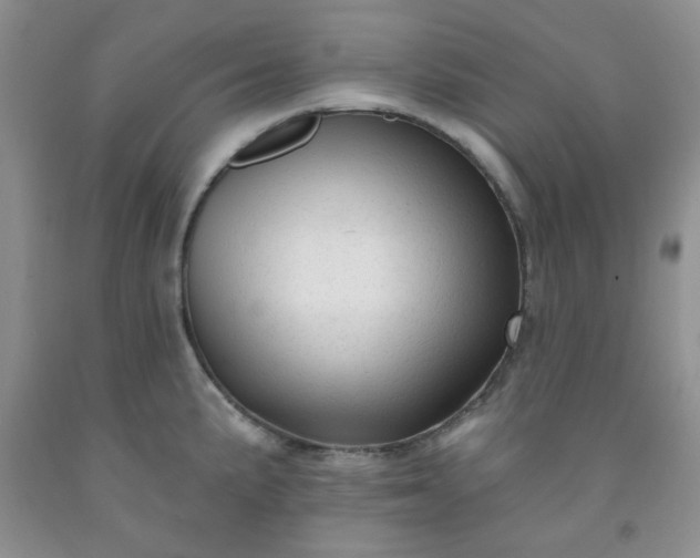 X0000091951191200709201316