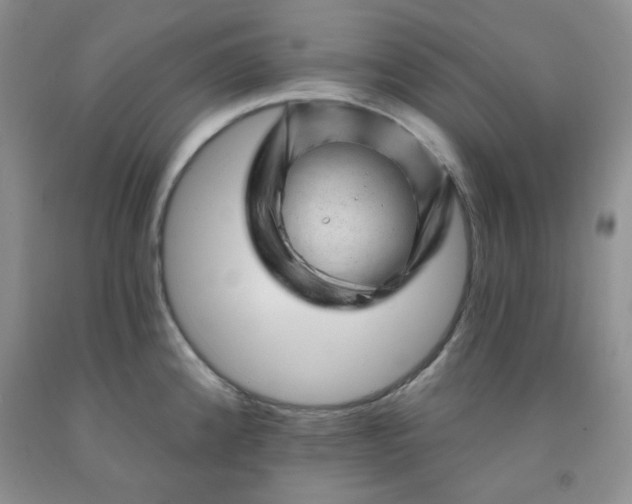 X0000091951192200709201316