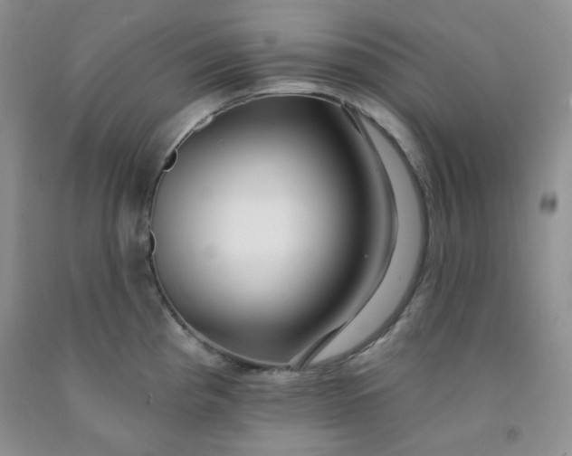 X0000091951193200709201316