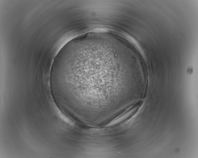 X0000091951194200709201316