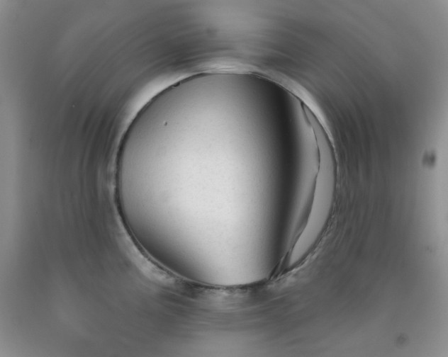 X0000091951195200709201316