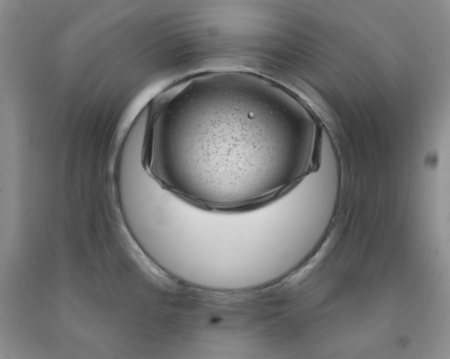 X0000091951196200709201316