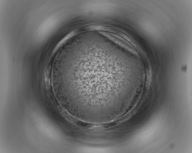 X0000091951198200709201316