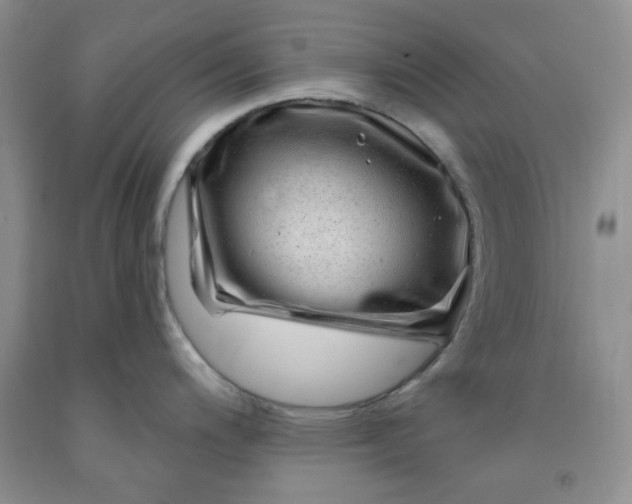 X0000091951200200709201316