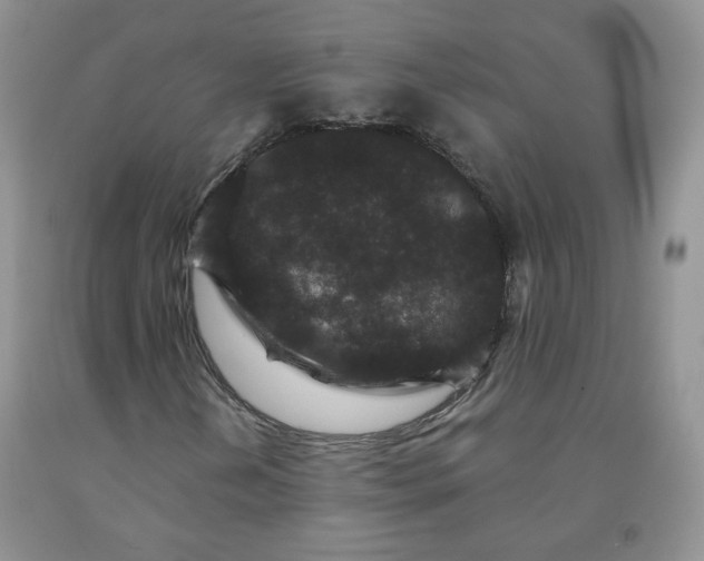 X0000091951202200709201315