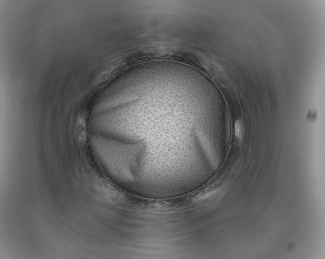 X0000091951203200709201315