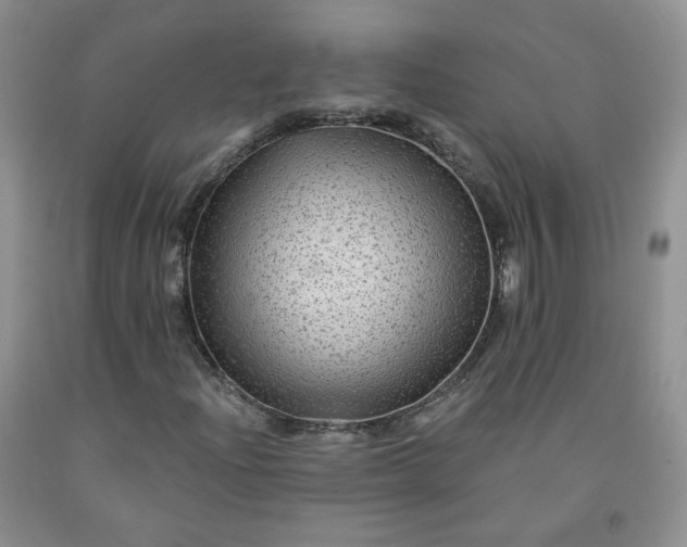 X0000091951204200709201315