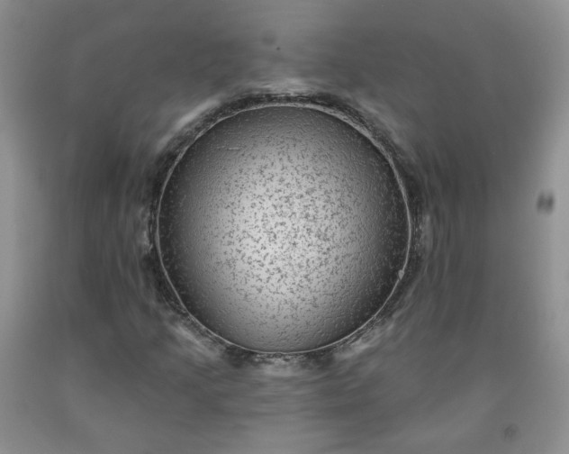 X0000091951205200709201315