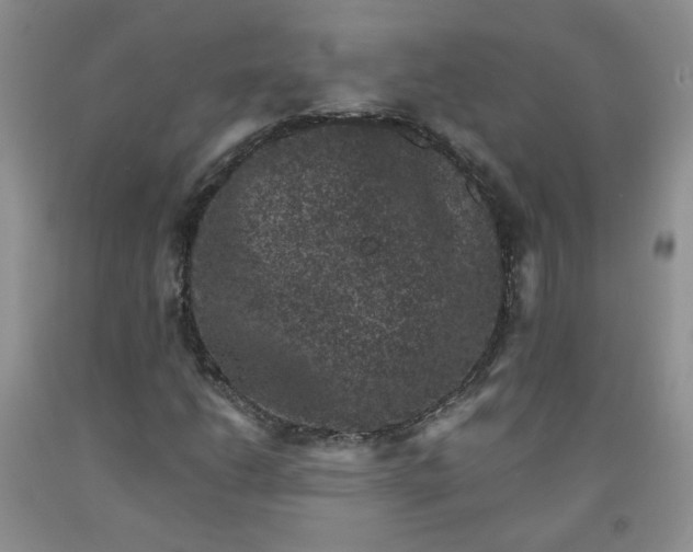 X0000091951206200709201315