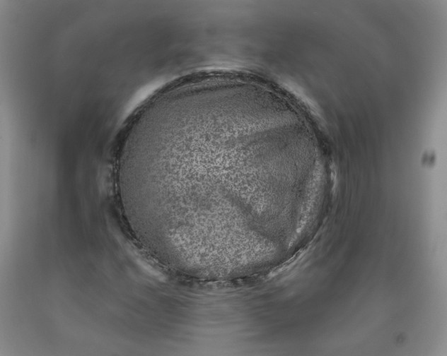 X0000091951208200709201315