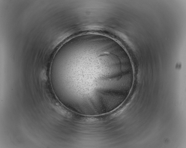 X0000091951209200709201316