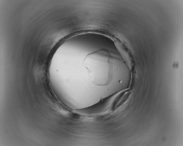 X0000091951210200709201316