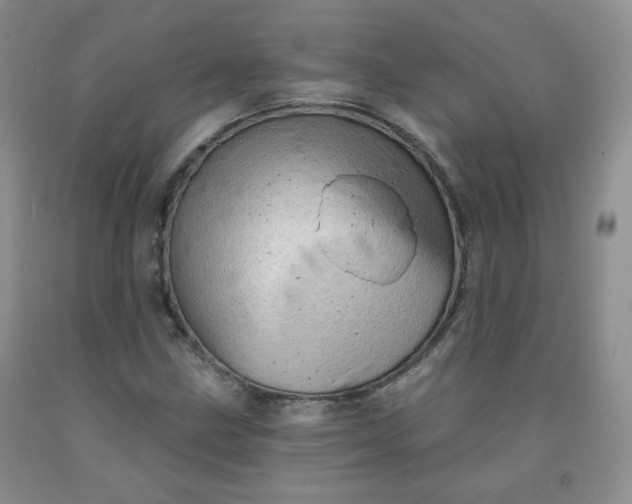 X0000091951211200709201316