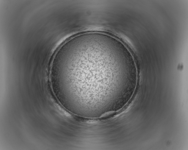 X0000091951212200709201316