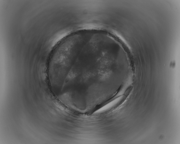 X0000091951213200709201316