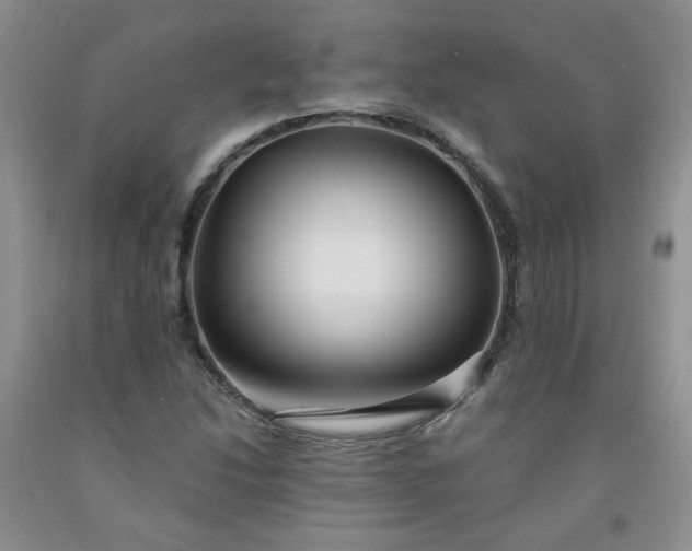 X0000091951214200709201316