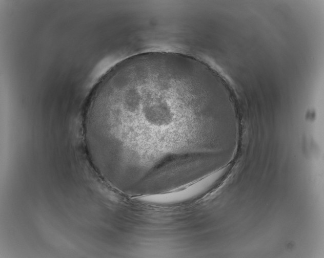 X0000091951215200709201316