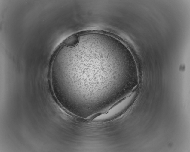 X0000091951216200709201316