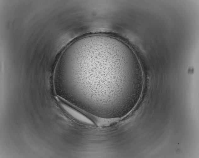 X0000091951217200709201316