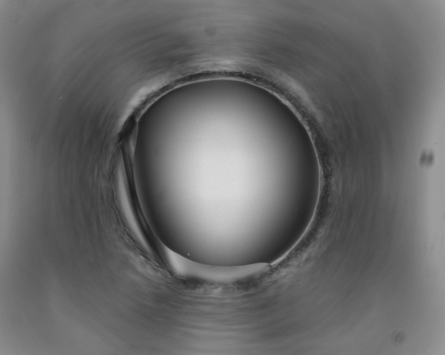 X0000091951218200709201316