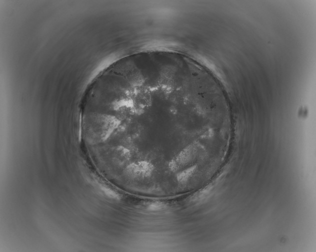 X0000091951219200709201316