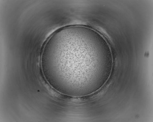 X0000091951220200709201316